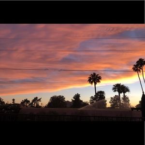 Meet your Posher, Annie